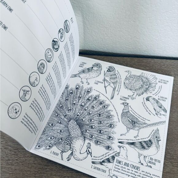 Creatures Great and Small Adult Animal Coloring Book - Picture 6 of 8